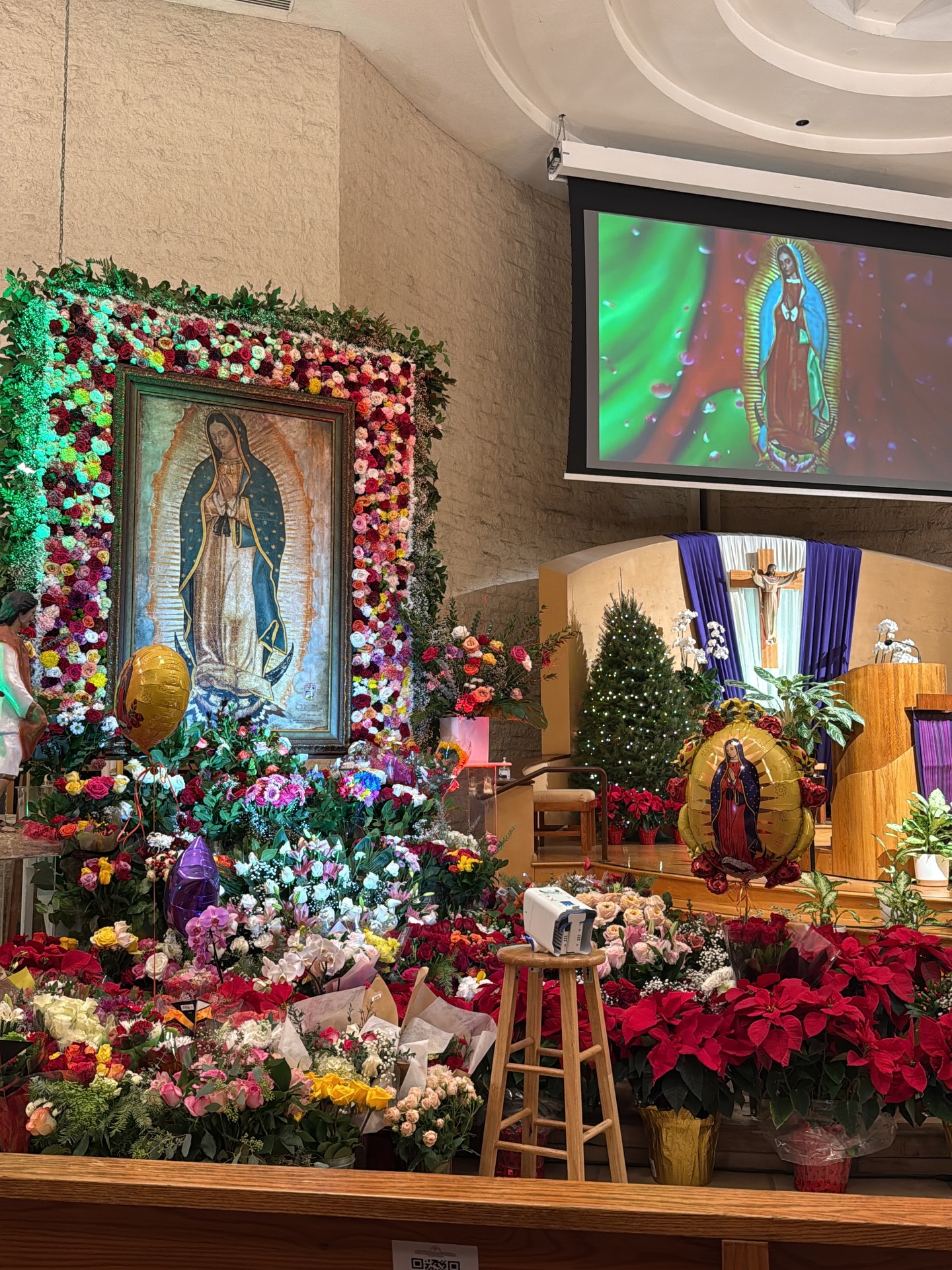 Con fe y alegría celebramos a nuestra Madre del cielo, Patrona de las Américas. Gracias a todos los que participaron en este hermoso día de oración, canto y encuentro como comunidad. Que la Virgen de Guadalupe continúe intercediendo por nuestras familias y guiándonos siempre hacia su Hijo, Jesucristo.
¡Viva la Virgen de Guadalupe!